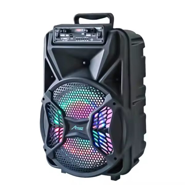 Casse Bluetooth con microfono